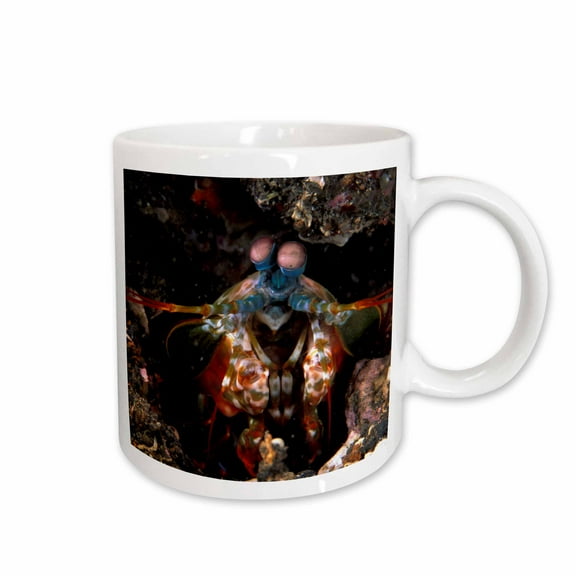 3drose, Indonesia. Green Mantis Shrimp, Crustacean-as11 Mwe0264 - Michele Westmorland, 15oz Mug