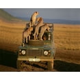thumbnail image 2 of Jimmyz 32x26 Gold Ornate Wood Framed with Double Matting Museum Art Print Titled - Cheetahs on Safari, 2 of 4