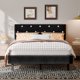 thumbnail image 2 of VERDALAY Estructura de cama tipo plataforma tamaño queen con cabecero tapizado en terciopelo/estructura de cama con botones de cristal y soporte de listones de madera. No necesita somier negro, 2 of 16