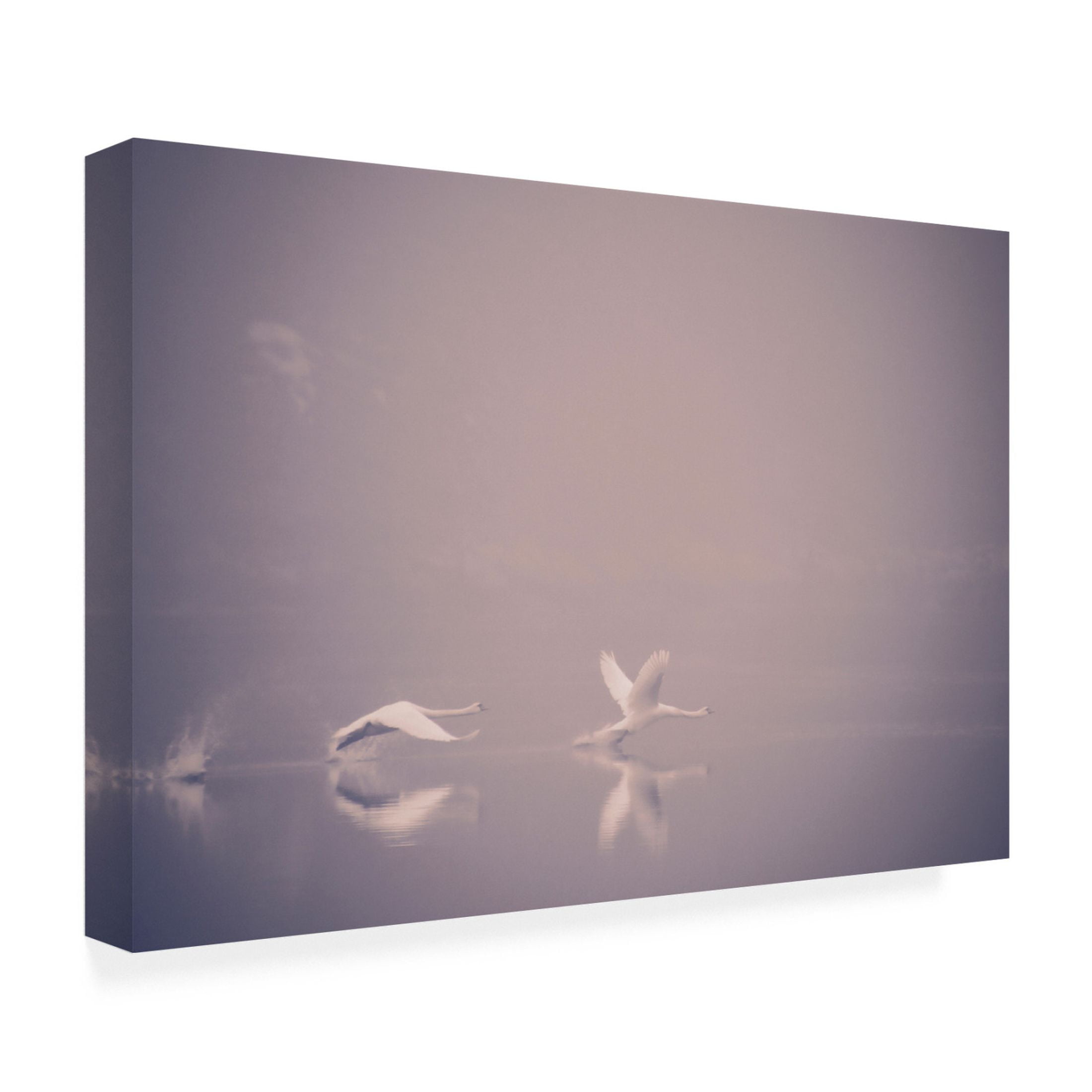 Canvas Wall Art - Jonas Dalheim 'Foggy Takeoff' Wall Art for Living Room, Bedroom, or Office Décor by Trademark Fine Art - 32 x 22 Inches
