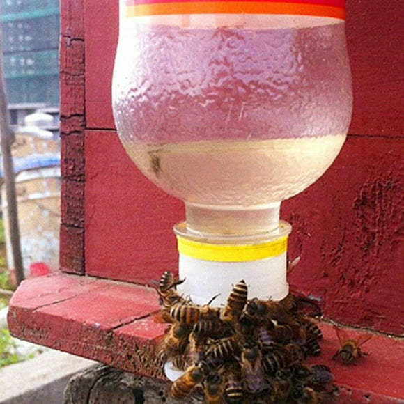 FLAMEEN Bee Water Feeder,10PCS Bee Water Feeder Bowl Drinker Drinking Fountain Waterer Beekeeping Equipment Tools,Bee Drinking Fountain