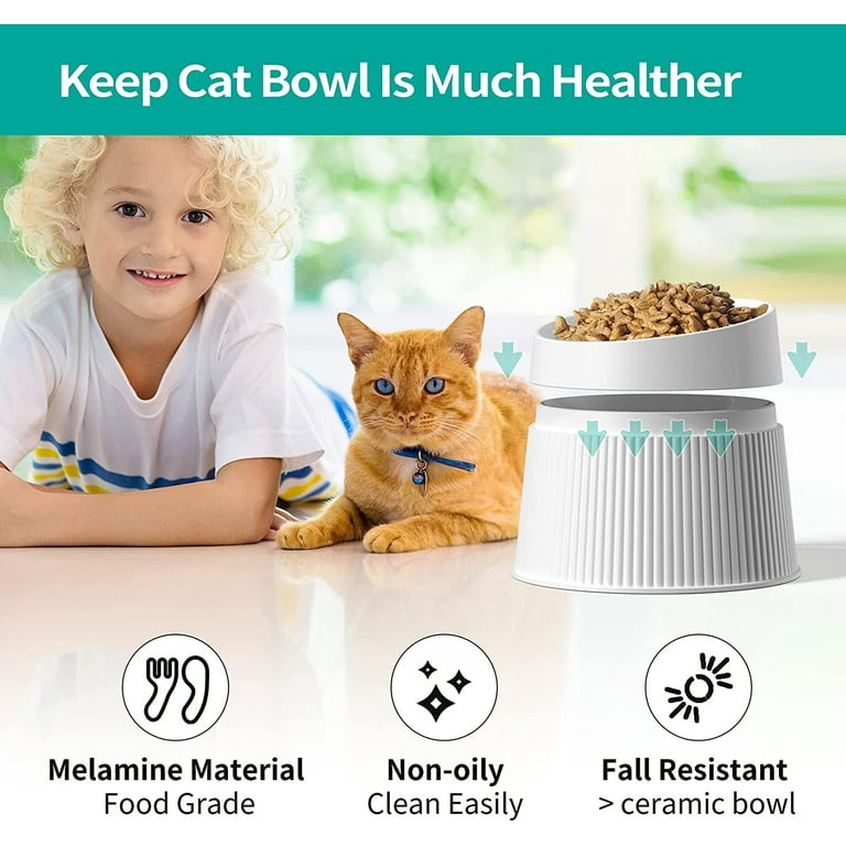 0°/15° Tilted Raised Cat Food Bowl Set, Stuffygreenus Stainless Steel Cat  Dog Feeding Bowls for Food Water Anti Vomiting Elevated with Stand Ergonomic  Lifted, Neck Protection 