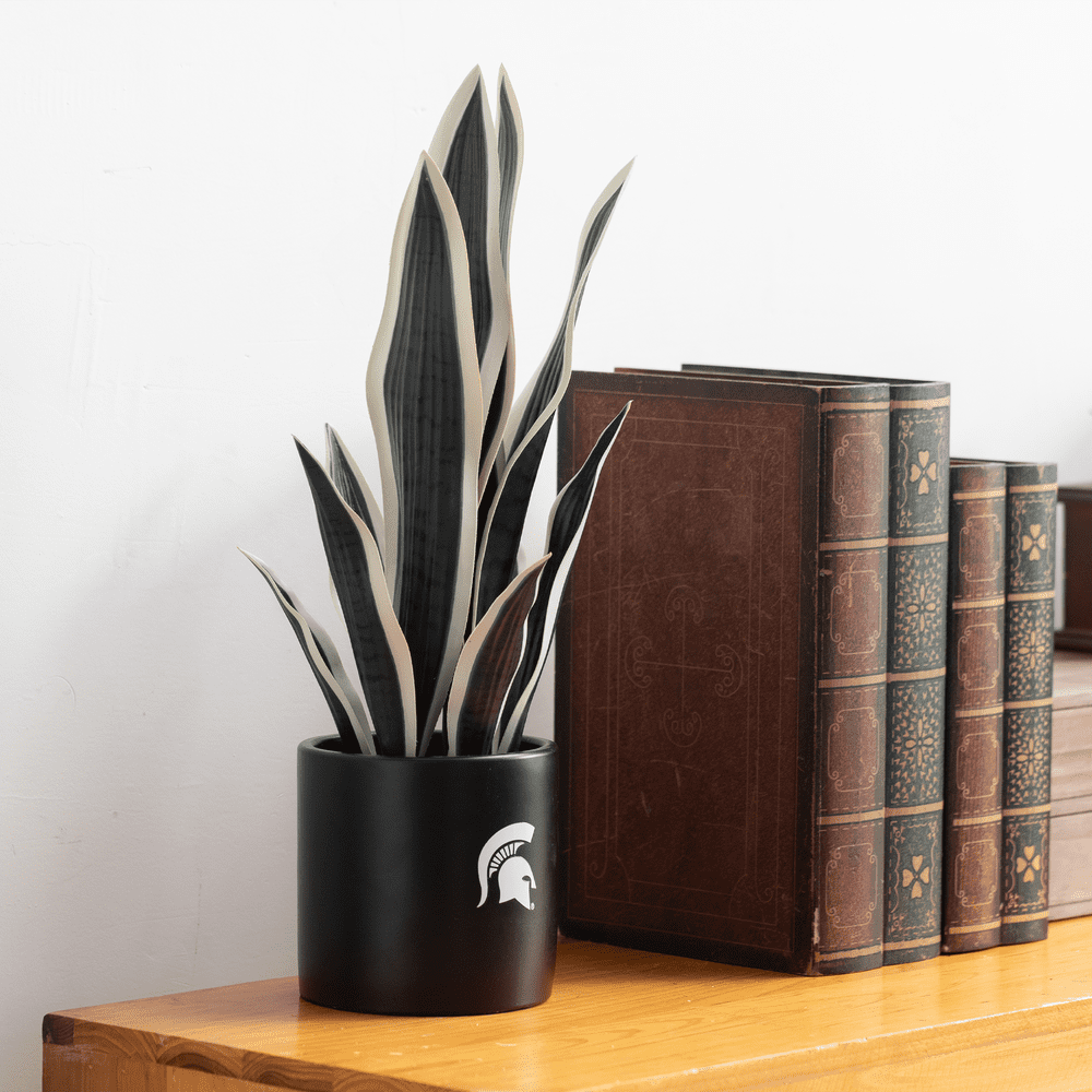 Elegant Faux Snake Plant in Ceramic Pot, 18'' Green and White