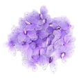 thumbnail image 4 of Fugacal Mesh Glitter , High Quality Apparel Accessories, For Cards Crafts, 4 of 5