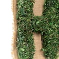 thumbnail image 4 of Northlight Rustic Home Artificial Grass Wall Hanging Decoration - 9.5" x 23" - Green & Beige, 4 of 7