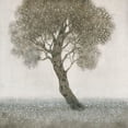 thumbnail image 3 of OToole, Tim 12x12 Black Modern Framed Museum Art Print Titled - White Blossom Tree, 3 of 5