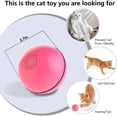 thumbnail image 2 of Balle Interactive Intelligente de Jouet pour Chat Boule de Roulement Automatique pour Jouet Rechargeable USB pour Chat Animal de Compagnie avec la Boule de Rotation de Lumière LED 360 Degrés (Rouge), 2 of 5