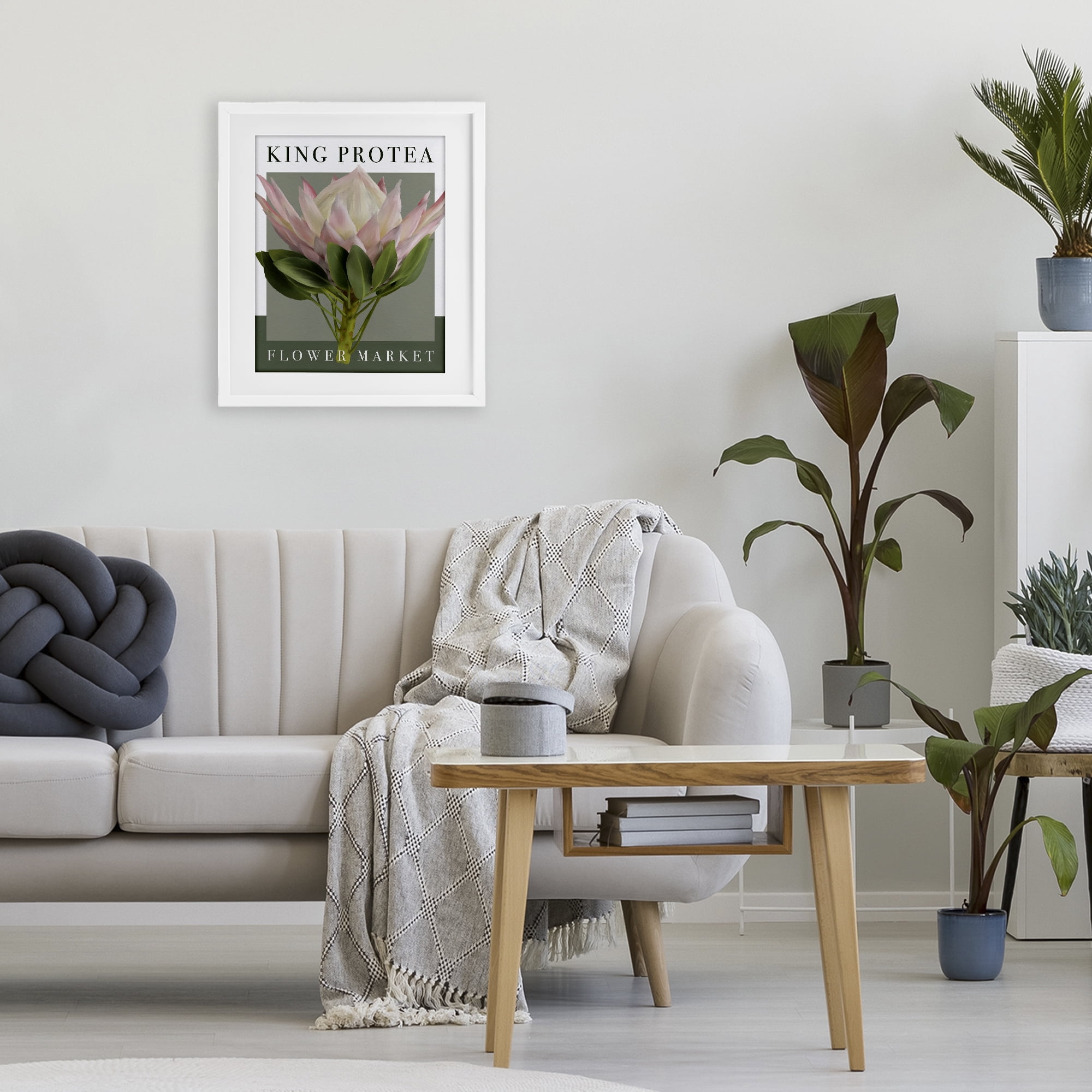 Stupell Industries King Protea Flower Market White Framed Print Under Glass, design by Jennifer Stith
