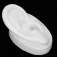 thumbnail image 5 of Silicone Ear Model Simulation Artificial Ear Display Model for Hearing Aids WearingRight Ear, 5 of 5