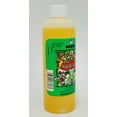 thumbnail image 2 of Benjamins Kananga Water 8 fl oz, 2 of 3