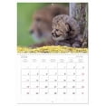 thumbnail image 5 of Big cat children (Monthly Wall Calendar 2026 11.7 x 16.5 (open)), CALVENDO 14 Month Calendar, 5 of 9