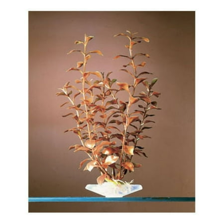 Penn Plax P12RL Plant Sinker Super Ambulia