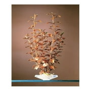 Angle View: 18" Blooming Ludwigia (Red)