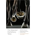 thumbnail image 1 of Pre-Owned The Selected Canterbury Tales: A New Verse Translation (Paperback) 039334178X 9780393341782, 1 of 1