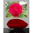 thumbnail image 1 of Sumerlin Red Rose I Wall Decal, 1 of 2