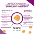 thumbnail image 6 of (Pack Of 4) SUKU Vitamins Prenatal Multivitamin Gum 60 Pieces, 6 of 9
