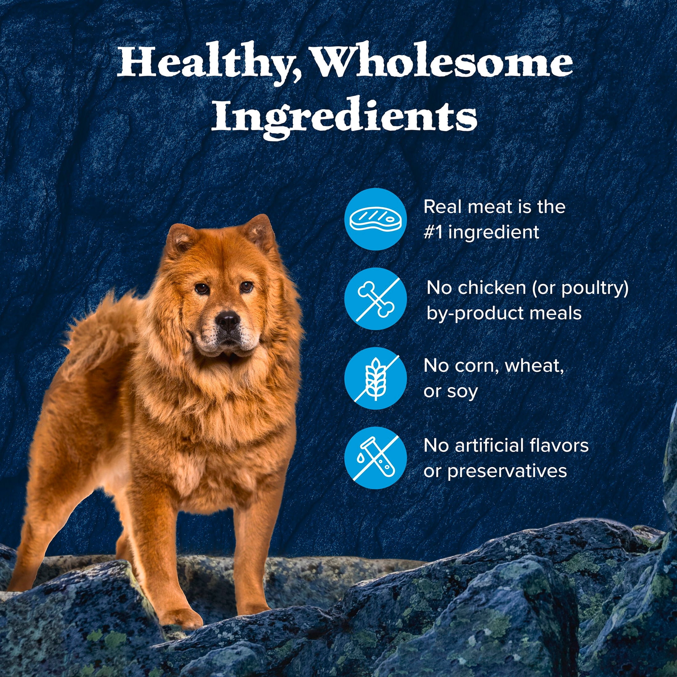 (6 pack) Blue Buffalo Wilderness Trail Toppers Wild Cuts Wet Dog Food, Chicken & Beef, 3oz (12 CT)