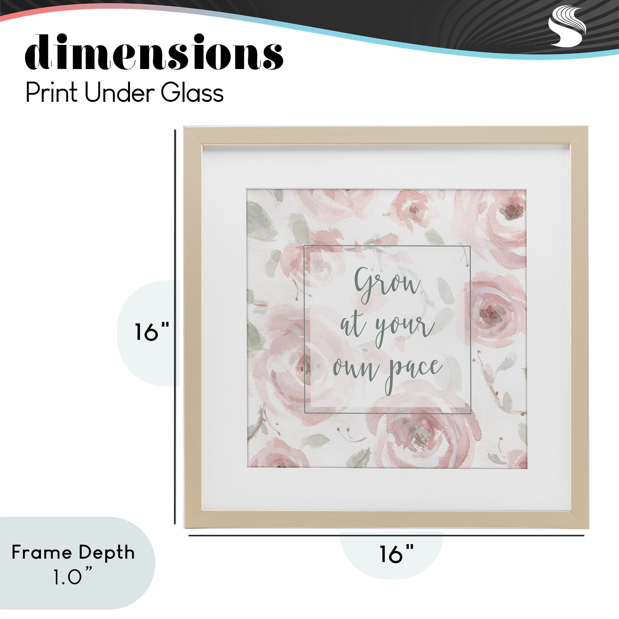 Stupell Industries Grow at Your Pace Florals Birch Framed Print Under Glass, design by Carol Robinson