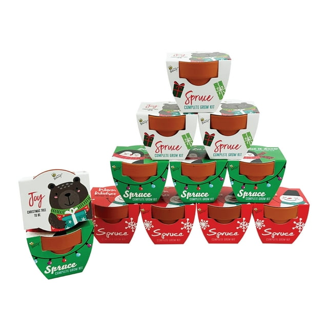 Maceta BUZZY Spruce para niños, mini kit navideño de 12 unidades