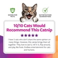 thumbnail image 6 of SmartyKat Catnip & Silvervine 35 g Natural Blend Cat Toy with Resealable Pouch, Assorted, 6 of 8