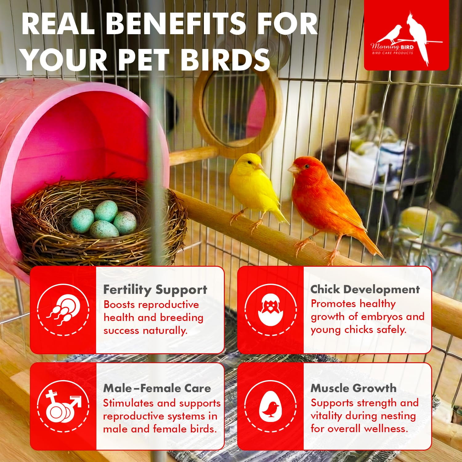 Morning Bird Nesting Nudge For Birds  4.5 Oz – Supports Reproductive Health & Energy – Stimulates Male and Female Reporductive Systems - Breeding Supplement with Amino Acids & Vitamin D3