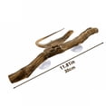 thumbnail image 6 of XIBUFE Reptile Branches for Climbing Bearded Dragon Branch Natural Non-Slip Habitat Decorations Reptile Decor, 6 of 8