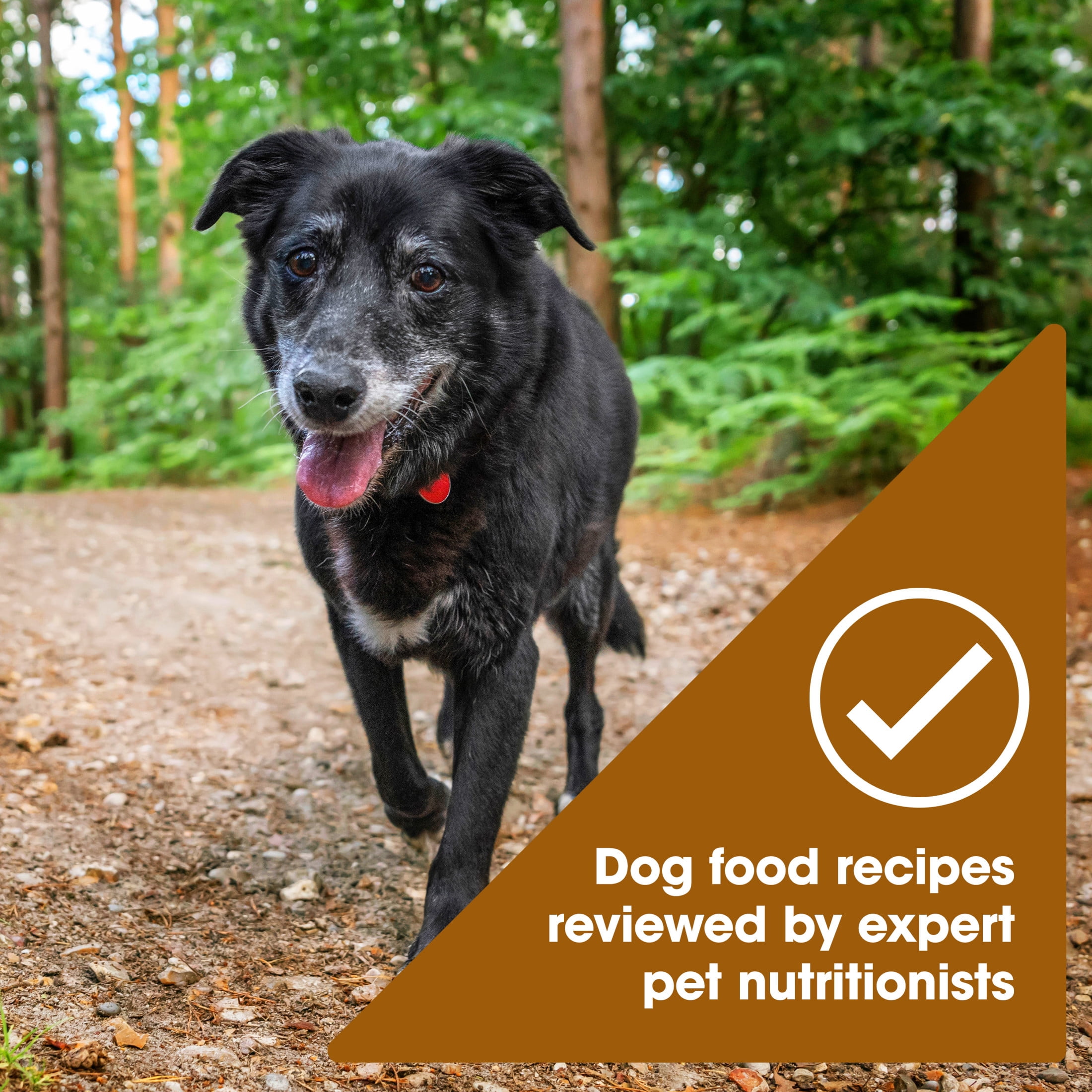 Nature's Recipe Mature Lamb & Brown Rice Dry Dog Food for Senior Dogs, 24 lb Bag