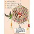 thumbnail image 5 of Holzlrgus Bird Toys, Hexagonal Bird Foraging Shredding Toys, Safe Funny Bird Chewing Toys, Bird Cage Accessories for Parakeet Cockatiel Conure Lovebird Budgies African Grey, 5 of 7