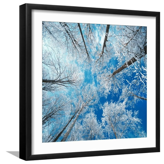 Art.com Frozen Sky Photographic Print by Philippe Sainte-Laudy, Black Frame Wall Art, 21" x 21"