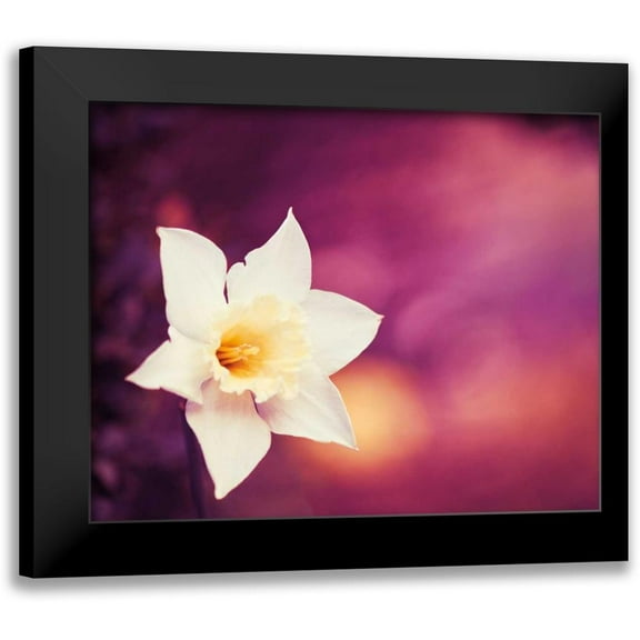 Cochrane, Carolyn 14x12 Black Modern Framed Museum Art Print Titled - Outburst