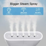 JFengqi Steamer for Clothes, 700W Powerful Handheld Garment Steamer, Portable Travel Steam Iron, 150ml Water Tank