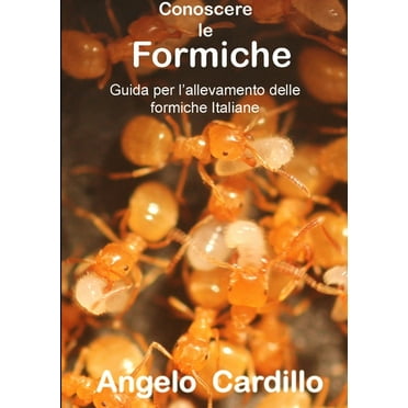 Conoscere Le Formiche, (Paperback)