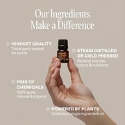 Cliganic Organic Essential Oils Set (Top 5 x 15ml) - 100% Pure Natural - Aromatherapy, Candle Making - Peppermint, Lavender, Eucalyptus, Lemongrass & Orange