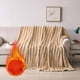 thumbnail image 1 of Manta de Franela de Color Liso con Pelo de Conejo, Manta para Siesta, Manta Pesada para Sofá, Manta de Terciopelo, 1 of 6