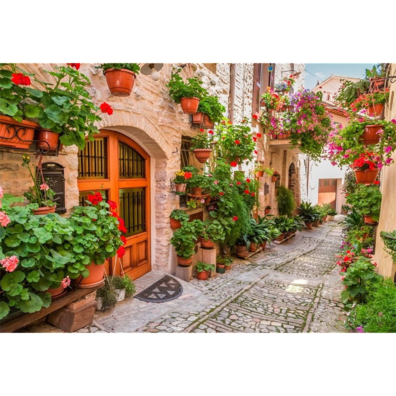Italy Old Town Backdrop 10x6.5ft Wedding Polyester Photography Background Puglia Trulli Quiet Street White Wall Blue Sky Green Plants Famous Scenery Summer Holiday Vacation Photo Prop Studio Italy Old Town Backdrop 10x6.5ft Wedding Polyester Photography Background Puglia Trulli Quiet Street White Wall Blue Sky Green Plants Famous Scenery Summer Holiday Vacation Photo Prop Studio