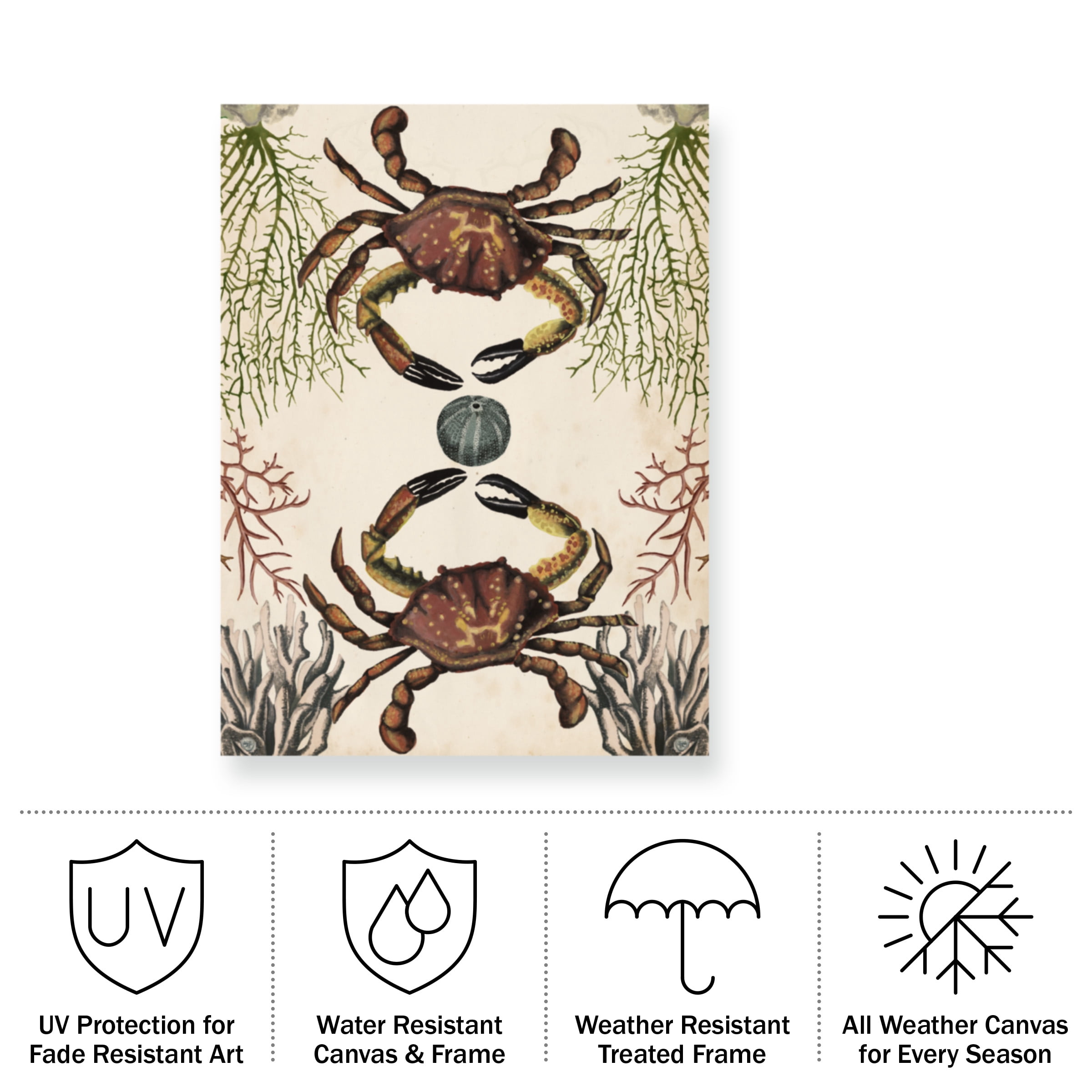 Naomi Mccavitt 'Antiquarian Menagerie Crab' Outdoor Canvas 24x18