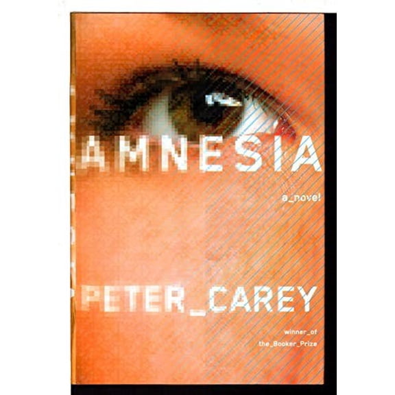 Pre-Owned Amnesia (Hardcover) 0385352778 9780385352772