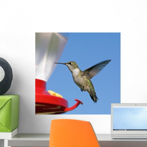 Female Ruby-throated Hummingbird Flying Wall Mural by Wallmonkeys Peel and Stick Graphic (18 in W x 17 in H) WM27963