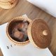thumbnail image 2 of Autumn vine woven round storage box Tea Dim sum snack storage basket Chess storage basket Straw woven tape, 2 of 4