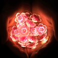 thumbnail image 5 of 10ft 30 LEDs Flower String Lights Fairy 3D Cherry Blossom String Lights Wire Battery Powered String Lights for Valentine's Day Wedding Nursery Girls Bedroom Decoration, 5 of 7