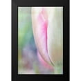thumbnail image 2 of Murdock, Ramona 17x24 Black Modern Framed Museum Art Print Titled - Spring Beauty II, 2 of 5
