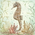 thumbnail image 3 of McRostie, Kate 15x15 Black Modern Framed Museum Art Print Titled - Seahorse IV, 3 of 5