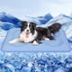 thumbnail image 1 of Tapete Frío para Perros 90 * 70CM, Impermeable Lavable Tapete Refrescante para Perros Cama Tech  Extra Gruesa Antideslizante portátil sin Olor Manta de refrigeración, 1 of 8