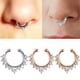 thumbnail image 5 of Anillos para el tabique nasal de acero inoxidable con aro, imitación labio, para la nariz y el tabique nasal, sin perforación, con clip, anillos para el cuerpo, joyería para piercing, 5 of 6