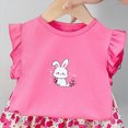thumbnail image 5 of TOWED22 Infant Baby Girl Clothes 2 Piece Graphic Print Ruffle Sleeve Top Tank and High Waist Shorts Set Summer Outfits Soft Everyday Clothing(Hot Pink,2-3 Y), 5 of 6