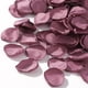 thumbnail image 1 of Nvzi 200 piezas de pétalos de rosa de seda, pétalos de flores artificiales para bodas, pétalos, B22, 1 of 5