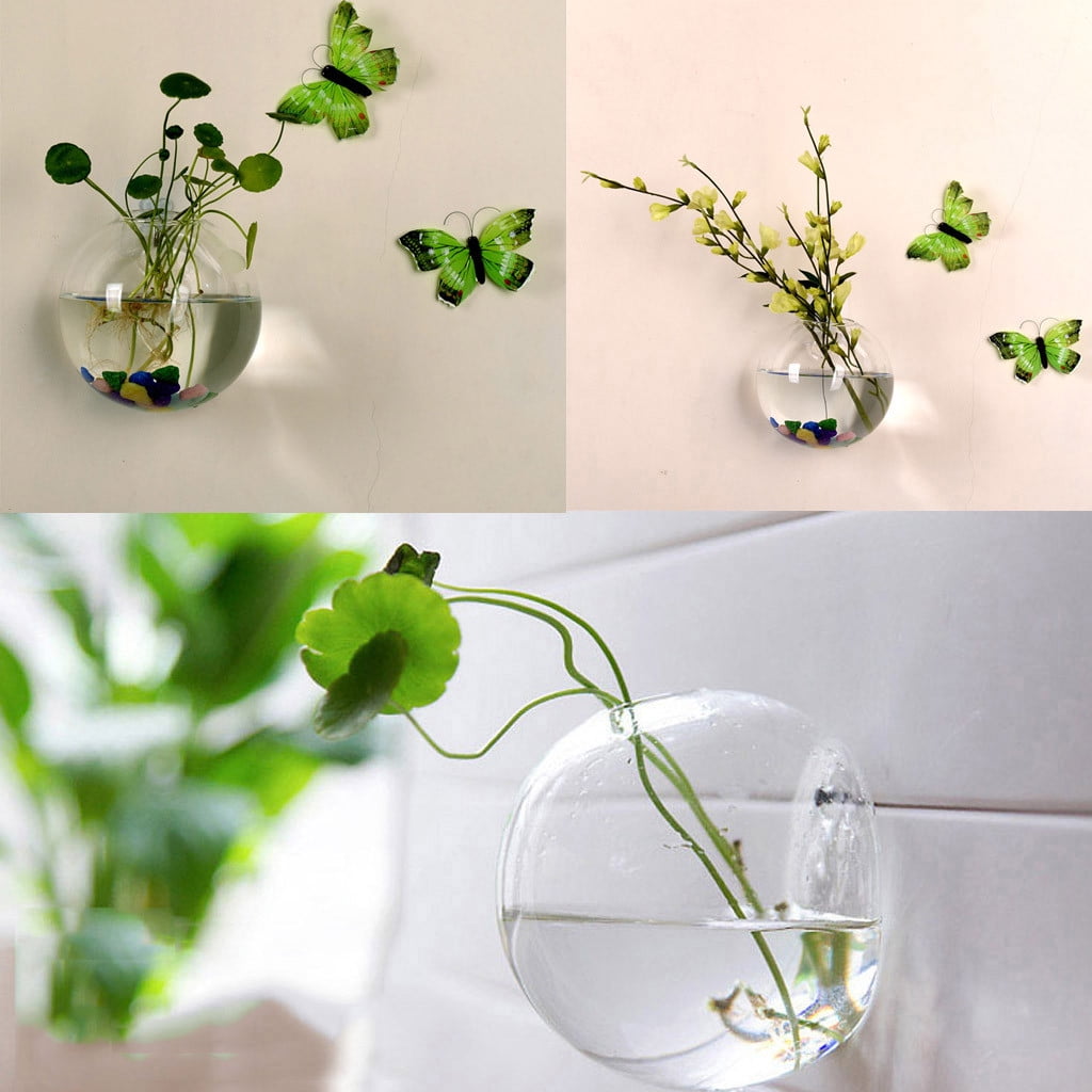 6 Glass Planters Wall Hanging Planters Round Air Plant Pots Wall Plant