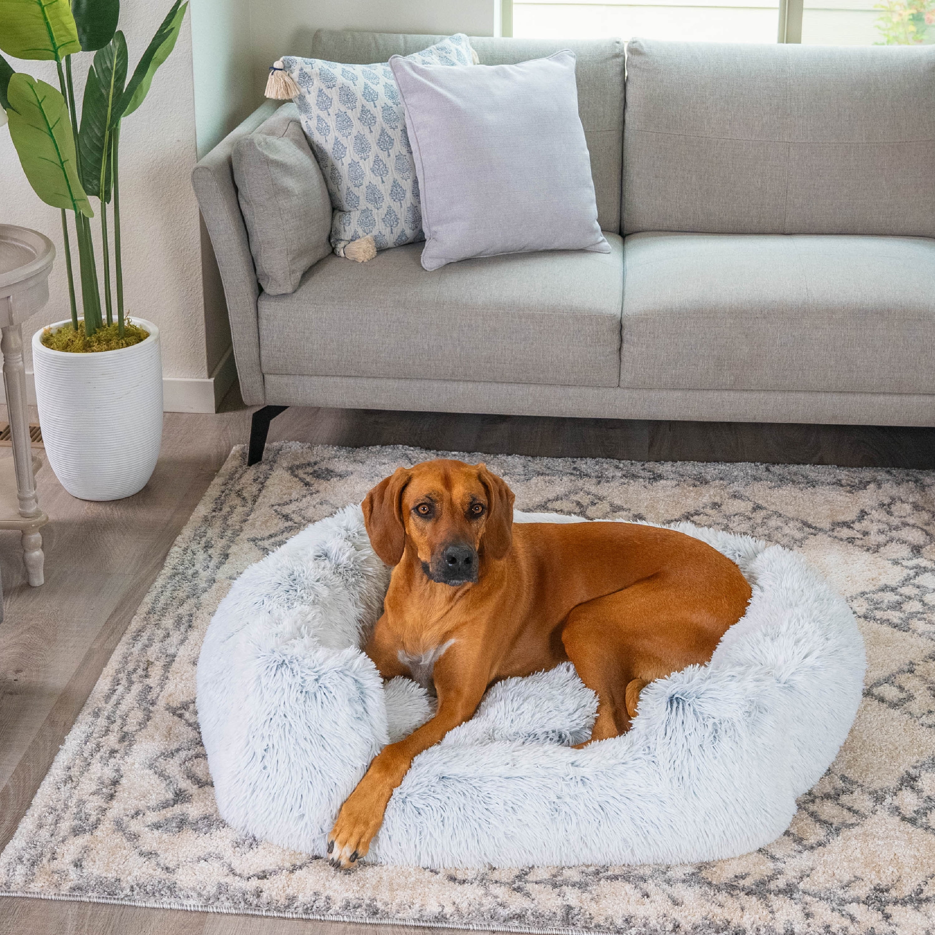 Best Friends by Sheri Shag Lounge Bed Calming Faux Fur Dog Bed, Frost, Large, 36" x 27"