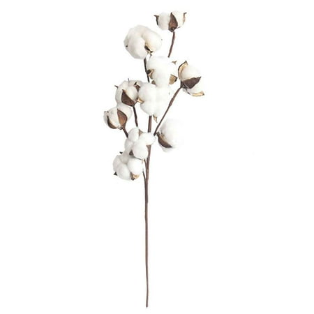 2019 New 10 Heads Gossypium Artificial Natural Petals Dried Flower Cotton Branch Stem Christmas Gift Fake