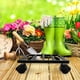 thumbnail image 3 of Soporte para plantas con ruedas, Base rodante para plantas, maceta, plataforma, ruedas, soporte para macetas con ruedas para exteriores, 3 of 6